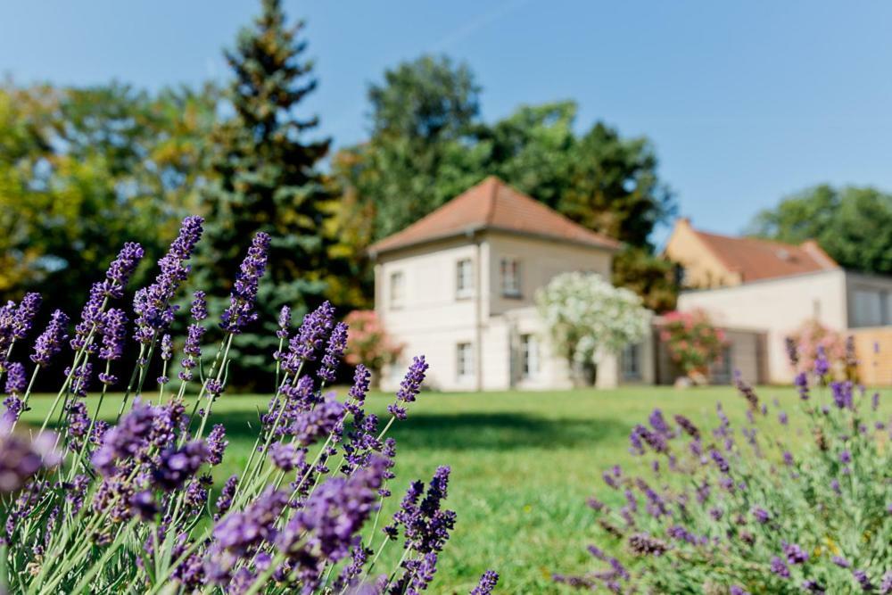 Landhaus Am Jungfernsee Πότσδαμ Εξωτερικό φωτογραφία